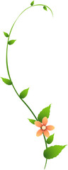 Green Vine with Leaves and Peach Flower