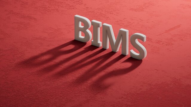 bims word concept. shadow of 3d charcaters.close up of shadow of 3d charcaters,Business Concept.3D rendering on red background.