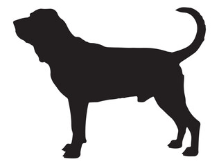 Bloodhound Dog Silhouette