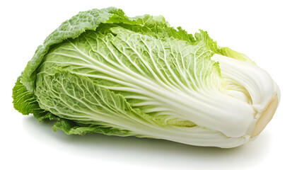 One fresh Chinese cabbage isolated on white