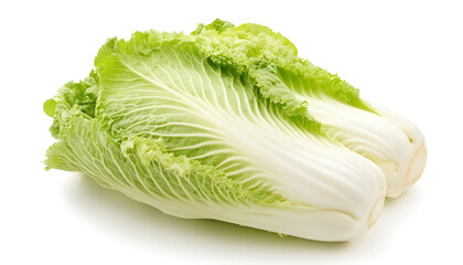One fresh Chinese cabbage isolated on white