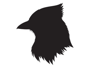  Blue Jay Bird Silhouette