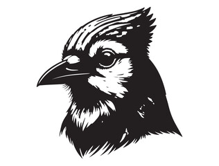  Blue Jay Bird Silhouette