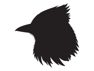 Blue Jay Bird Silhouette