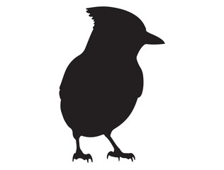 Blue Jay Bird Silhouette