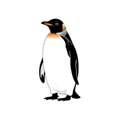 penguin vector illustration on white background
