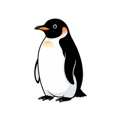 penguin vector illustration on white background