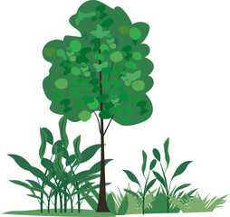 Fototapeta premium Green Tree and Grass: This picture illustrates a green tree and green grass with vibrant green leaves. This artwork is perfect to evoke the peaceful and natural vibes. 