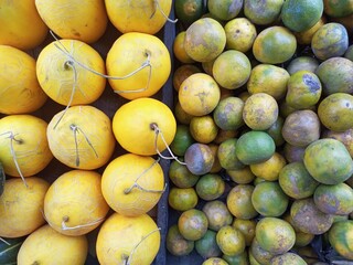 Abundant Tropical Fruits Displayed at Local Market