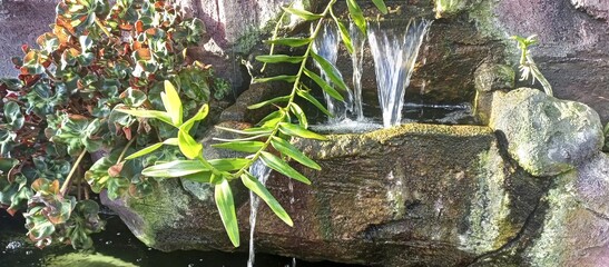 Cascading Water Feature with Lush Greenery and Pond