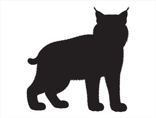 Bobcat Silhouette