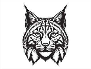 Obraz premium Bobcat Silhouette
