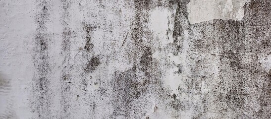 Grungy Textured Wall with Peeling Paint and Stains