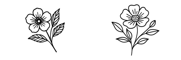 Floral illustrations featuring simple line art of two different flowers with leaves