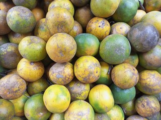 Pile of Freshly Harvested Indonesian Oranges