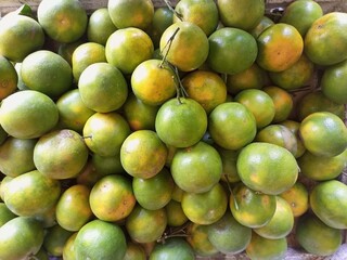 Pile of Freshly Harvested Indonesian Oranges