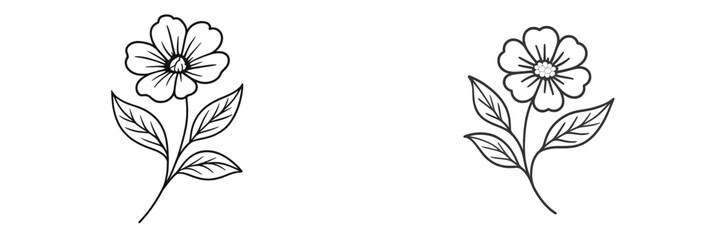 Floral sketches of two flowers with detailed petals and leaves against a white background for illustrative purposes