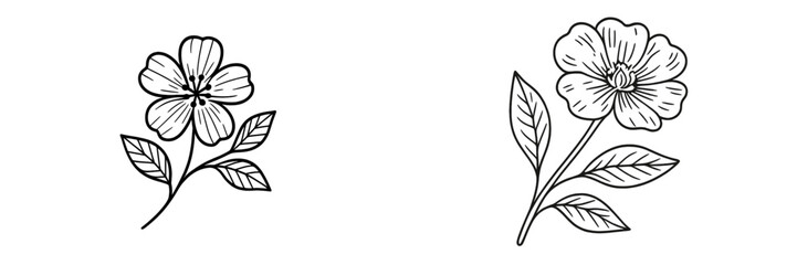 Beautiful hand-drawn flowers with detailed petals and leaves, suitable for artistic projects and designs