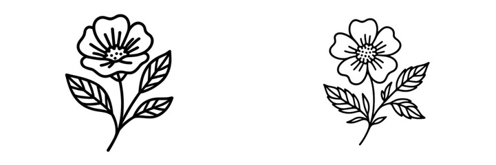 Beautiful hand-drawn flowers showcasing detailed petals and leaves in a minimalist style for artistic design projects