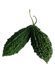 Bitter Gourd (Momordica charantia) Isolated on White Background
Bitter gourd or Momordica charantia...