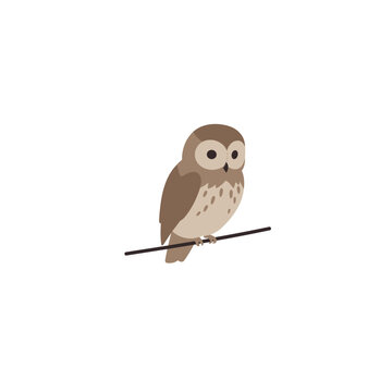 Cartoon Owl Perched on a Branch Featuring Detailed Feather Markings.