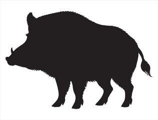 Wild Boar Silhouette