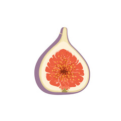 Vibrant Slice of Fig Detailed Cross-Section.