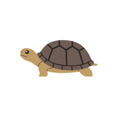 Side Profile of a Cute Cartoon Tortoise Walking.