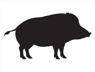 Wild Boar Silhouette