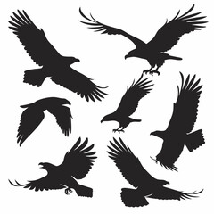 Fototapeta premium Eagle Silhouette Vector Set – Flying and Perched Bird Shapes