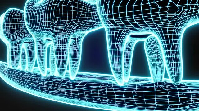 Digital dental structure animation showcases precise anatomical framework of human teeth