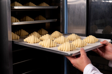 Pastry chef places croissants in the oven.