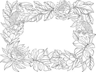A outline vector illustration of a tropical floral frame with toucans, lush leaves, and exotic blooming flowers arranged around the border