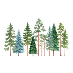 Obraz premium Fir tree branches with a touch of snow, perfect for a winter or Christmas holiday celebration