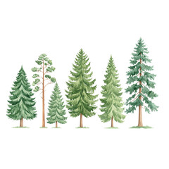 Obraz premium Snowy fir trees and pine branches create a festive winter forest scene for your holiday season celebration