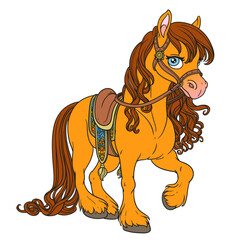 Cute horse with lush mane harnessed to a saddle on white background