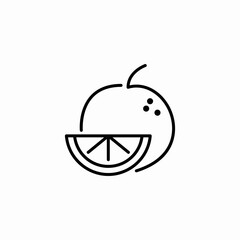 orange fruit icon sign vector