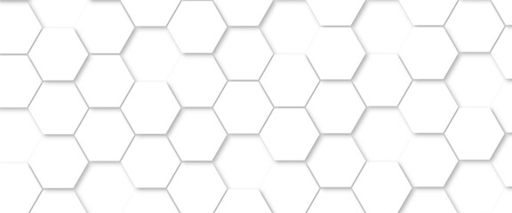 Abstract background with white color hexagons and seamless pattern vector design . luxury white pattern geometric mesh cell texture .honeycomb 3d background texture design .
