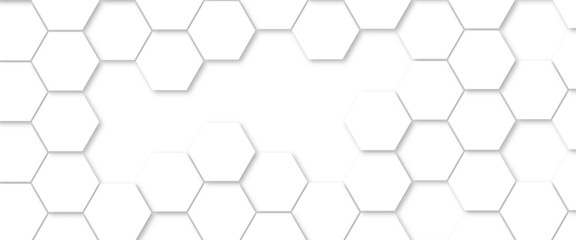 Abstract background with white color hexagons and seamless pattern vector design . luxury white pattern geometric mesh cell texture .honeycomb 3d background texture design .