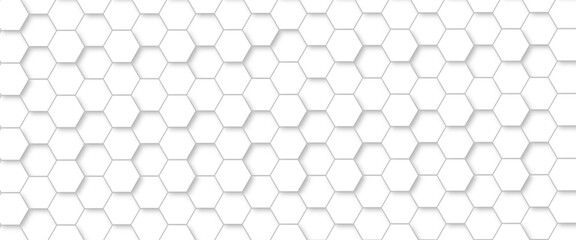 Abstract background with white color hexagons and seamless pattern vector design . luxury white pattern geometric mesh cell texture .honeycomb 3d background texture design .