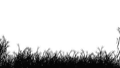 Dark silhouette of tall grass creates a somber and minimalist, visually striking background.