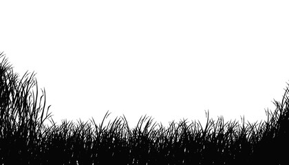 Silhouette of wild grass on a dark and moody night, evoking mystery, and tranquility.