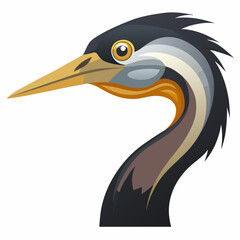 African darter bird head profile illustration