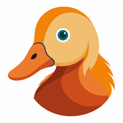 Cute cartoon duck head illustration