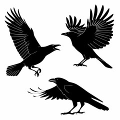 Obraz premium Crow Silhouette Vector Sheet - Minimal Black Bird Silhouettes for Design