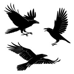 Fototapeta premium Crow Silhouette Vector Sheet - Minimal Black Bird Silhouettes for Design