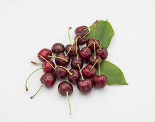 Fresh ripe dark red cherries with stalks, on white background