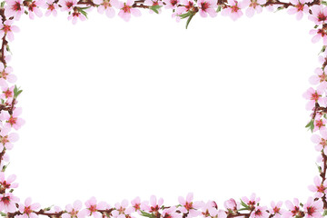 Spring peach twigs in a floral frame isolated on white or transparent background