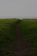 Papier peint photo foodpath through the field to the atlantic ocean in ireland