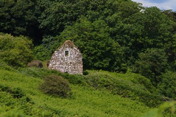 holy wall at ardmore cliffwalk ireland, beautiful landscape